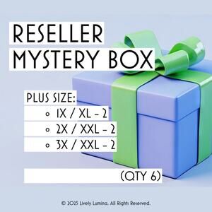 $𝟒𝟐 - Plus Size Reseller Mystery Box